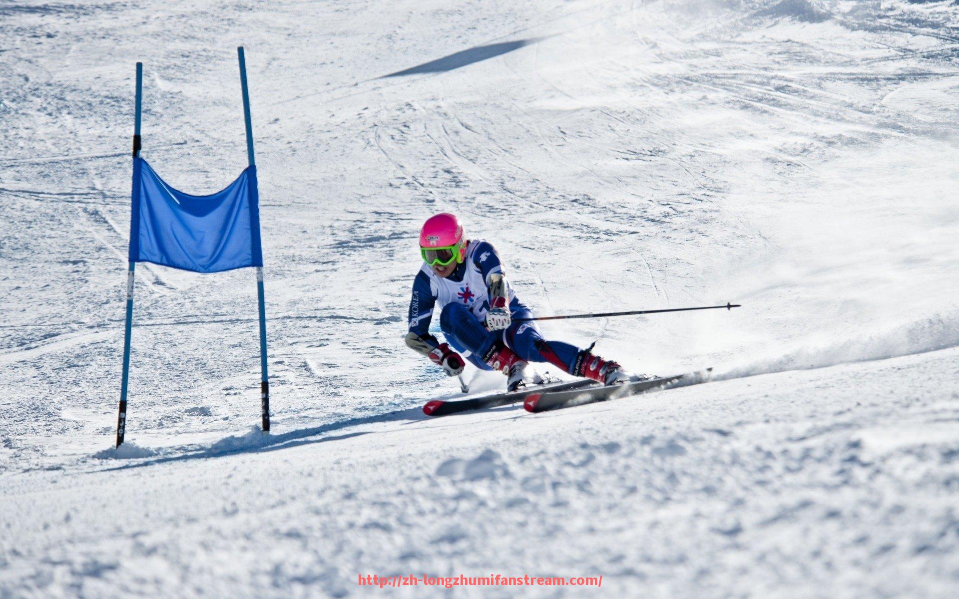 龙珠直播-火箭队最新赛季战况统计及球队表现实时更新